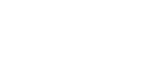 partner-4